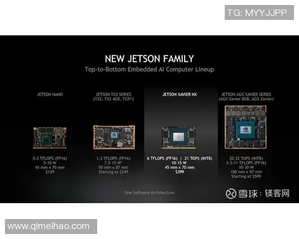 Soniqs战队绝地求生征战历程分析与未来发展趋势探讨