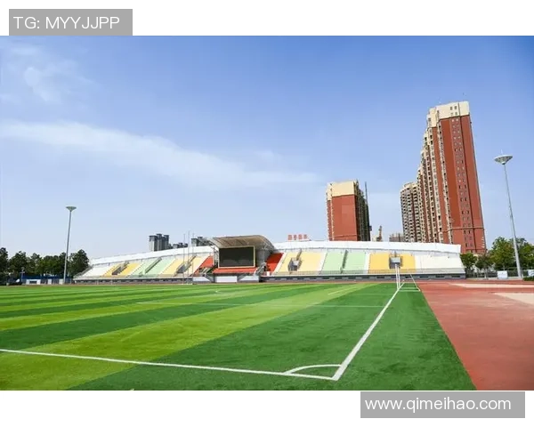 《探索体育运动的无限魅力与发展趋势：从全民健身到竞技体育的多元化发展》