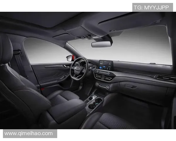 聚焦世界足球明星成长历程与球场传奇故事全景解析与未来展望