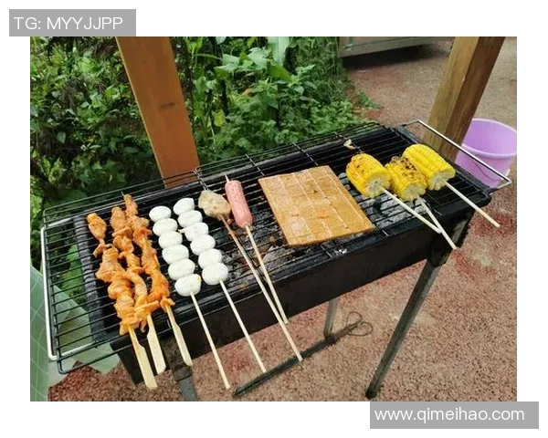 走近绿茵传奇全面解析足球明星背后的精彩奋斗与荣耀人生旅程故事