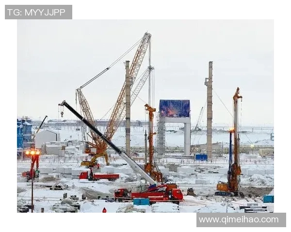 亚马尔地区的资源开发与国际合作前景分析及其对全球能源市场的影响